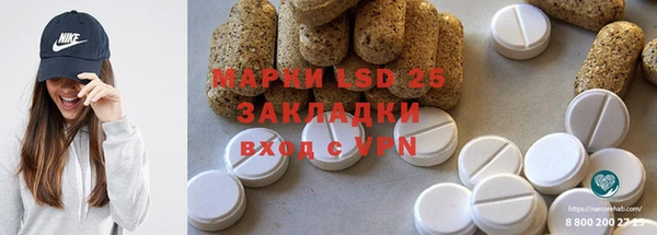 шишки Баксан