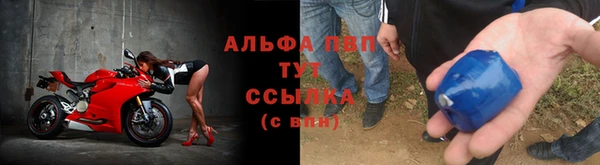 шишки Баксан