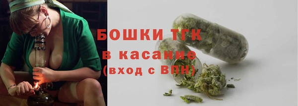 молекула духа Балахна
