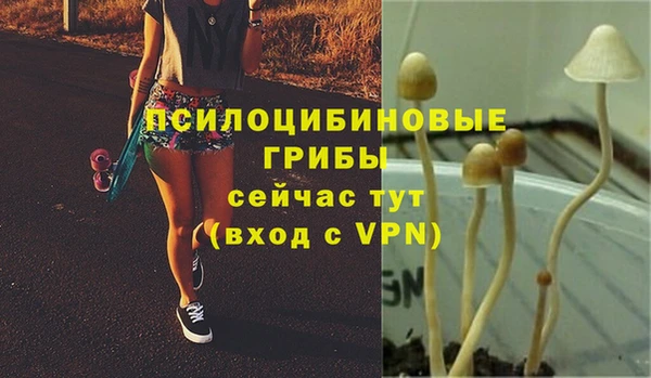 молекула духа Балахна