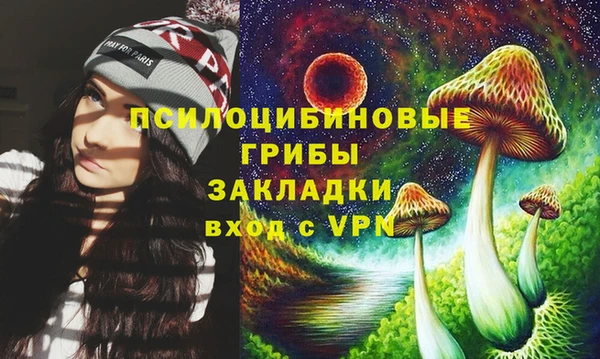 шишки Баксан
