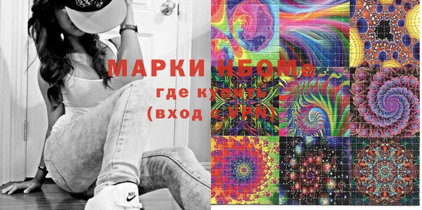 шишки Баксан