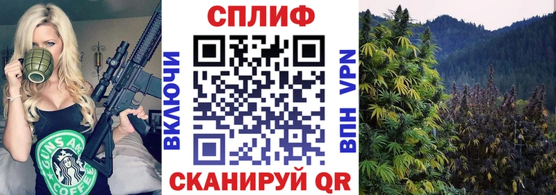 Бошки Шишки тримм  Кондрово 